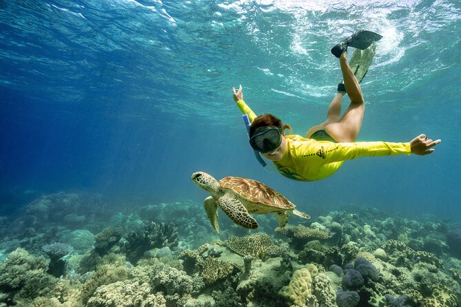 Get underneath the Great Barrier Reef