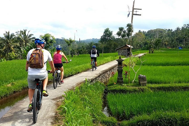 Take an e-Bike tour around the city, island, or rainforest